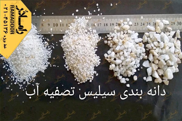 سیلیس سیلیس