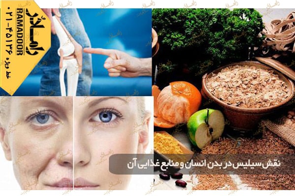 سیلیس